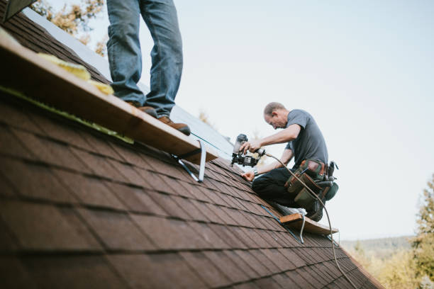 Best Storm Damage Roof Repair  in Sarand, AL